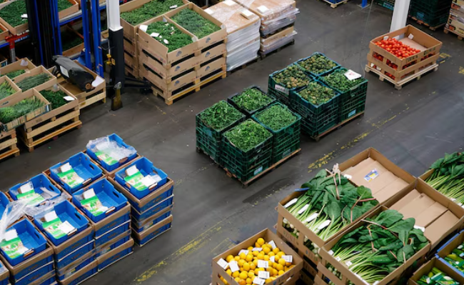 How Food Ingredient Import Export Works