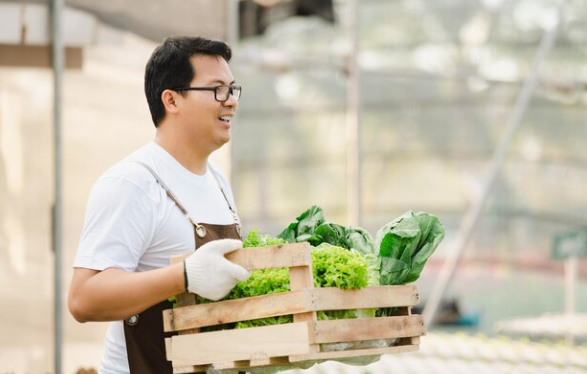 Importing Food Products 1